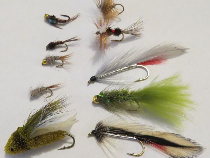 Beginner's-Trout-Fly-Pack