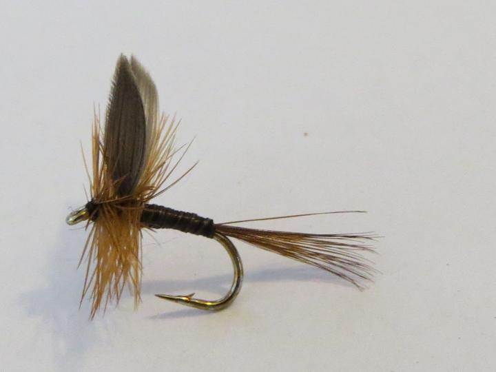 Dad's Favourite Dry Fly