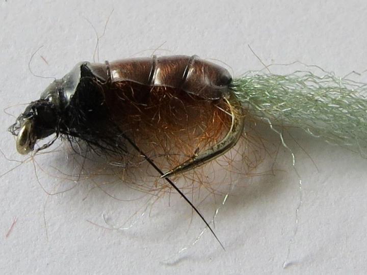 Net Building Caddis Nymph Fly