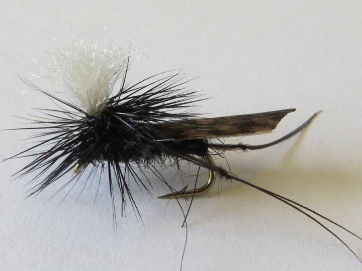 Parachute-Black-Cricket-Dry-Fly