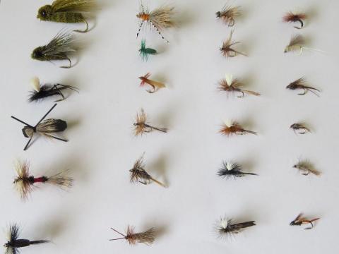 Summertime Trout Fly Pack