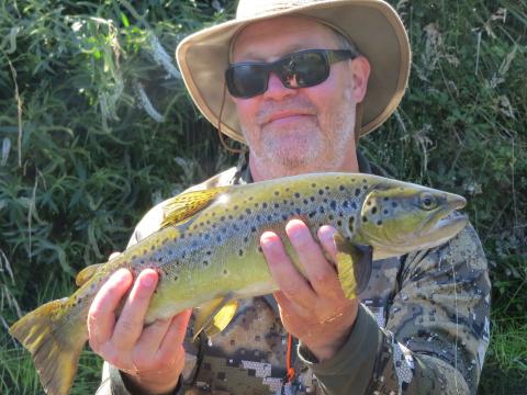 Brown trout on an Invicta wee wet fly
