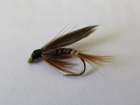 Dad's Favourite Wee Wet Fly