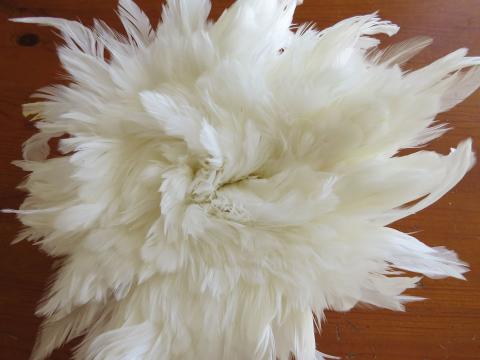 Natural White Strung Schlappen Feathers