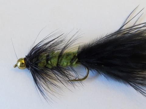 Bead-Head-Olive-and-Black-Woolly-Bugger-Fly