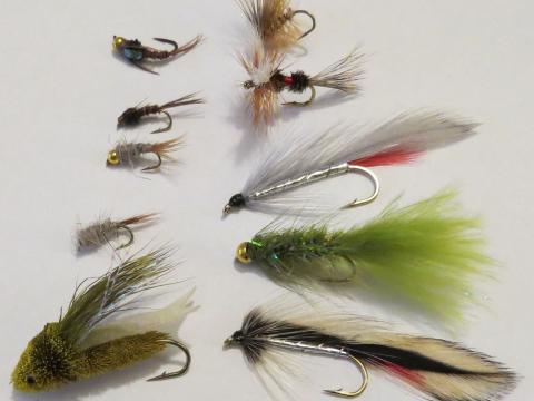 Beginner's-Trout-Fly-Pack