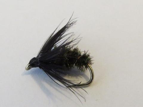 Black and Peacock Wee Wet Fly
