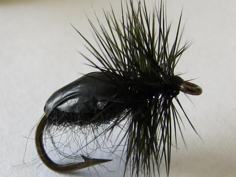 Black-Beetle-Dry-Fly