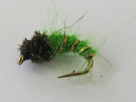 Green-Caddis-Nymph-Fly