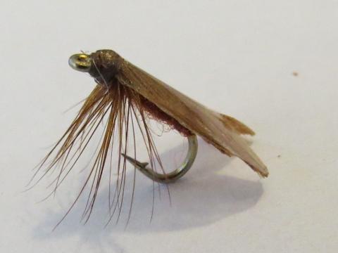 Lacemoth Dry Fly